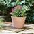 New Aged-look Hand-crafted Clay Planters – 15” 3 thumbnail