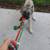 *Pet Sitting / Boarding Short Term / Long Term*Home Environment* 4 thumbnail