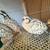 Quails for Sale 4 thumbnail