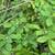 - Price Reduction - Undeveloped view lot 11 thumbnail