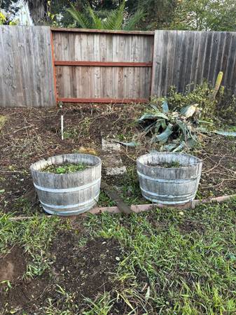 Half wine barrel planter boxes 1