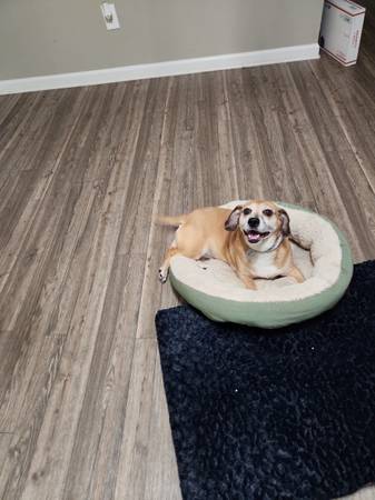 Rehome (Huntsville)64151734489729120