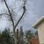 Tree services 15 thumbnail