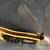 CASE XX CRANDALL CLASSIC ANTIQUE BONE LARGE SADDLEHORN KNIFE 62100 1 thumbnail