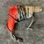 Variety of power tools 8 thumbnail