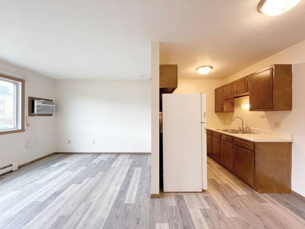 $705 / 1br - 460ft2 - 1B/1B, Great Location, In Minot (505 Park Street, Minot, ND)63663379950593121