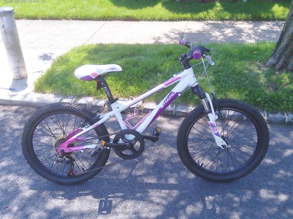 Haro Bikes Flightline FL20 MTB 2015 Pink / Purple - $90 (Staten Island)63471378776961120