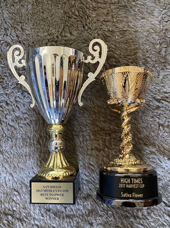 Dank plug for fire 1