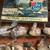 VTG BOBBLEHEADS, PF FLYERS, VTG PACKERS POSTER, UNIFORMS & HELMETS 12 thumbnail