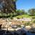 $500 OFF ur 1ST MO! 1 Bedroom - Roller Shades, Wood-Style Floors 10 thumbnail