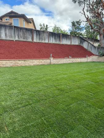 sol lawns landscaping 1