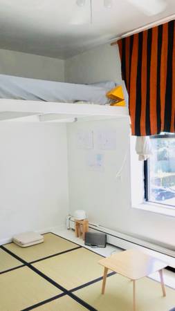 $1,500 / 3br - Williamsburg bridge  /south 5 (Brooklyn)63816703271041120