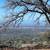 80 Acres Near Lake Oroville 14 thumbnail