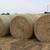 All Types of Hay for Sale - Delivery Available 21 thumbnail
