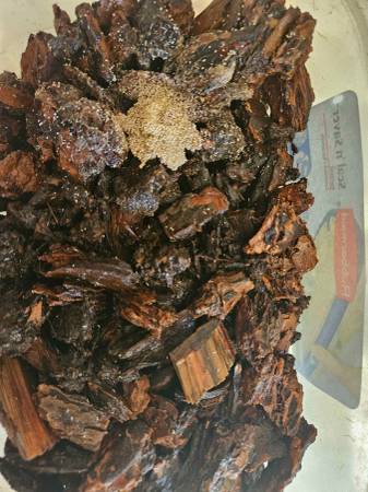 Springtail Starter Cultures - Bioactive Terrarium Cleanup Crew $7 1
