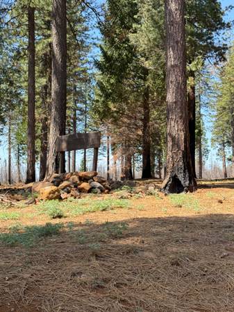 $199,000 / 1br - Remote 80 acres, beautiful views, wilderness access (Cohasset)64151584352769120
