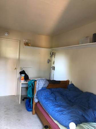 $1,300 / 3br - One Bedroom Available At Three Bedroom House - Near UC Berkeley (berkeley north / hills)63928542187010121