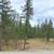Princeton BC 1.999 Acres Land for Sale by Owner 3 thumbnail