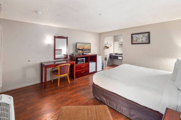 $392 / 320ft2 - Micro Estudios Disponibles Cerca de Renton! (Renton/Bellevue)63814837566595123