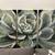 3 piece Succulent art work 1 thumbnail