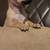 3 CHIHUAHUA PUPPIES 5 thumbnail