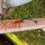 20" inch Trek (Mystic) Girl's Bicycle - Peach 7 thumbnail