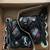 Rollerblade Bladerunner Phoenix adjustable kids sz 5-8 3 thumbnail