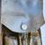 Vintage KIORITZ ECHO CS-302 Chainsaw, with Original Case & Tool Kit 7 thumbnail
