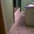 Large 4 Bed Apartment 15 Mins to Downtown 5 thumbnail