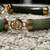 Vintage Jade Bracelet 8 thumbnail