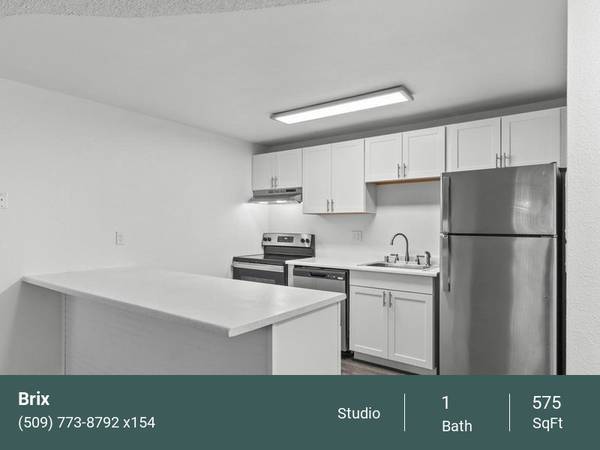 $1,020 / 575ft2 - Major Upgrades, Open Concept, A Must See, New Dog Spa63803292164481120