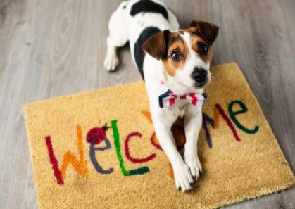 $1,499 / 480ft2 - 😍 Bienvenido a nuestra comunidad épica, ¡bebés peludos aprobados! 😽🐕‍🦺 (Edmonds, Lynnwood, Shoreline, Ballinger)63786756403713123