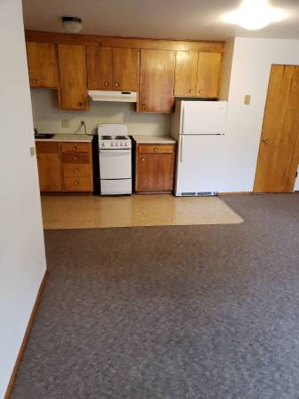 $625 / 1br - 545 NE Oak St. #10 (sublease) (Pullman)63980820858754124