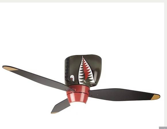 Ceiling Fan 1