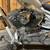 2007 Big Dog Motorcycles Chopper Models 11 thumbnail