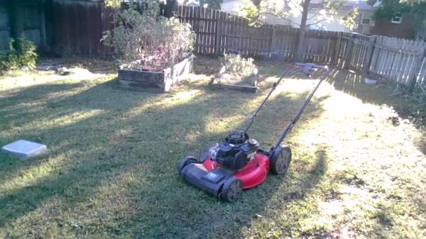 Lawnmower 1
