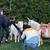 Pony rides on Horses, Unicorns, Minis and Carts 11 thumbnail