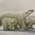 Polar Bear by Shane Lamb 1 thumbnail