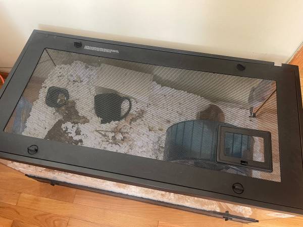 Hamster (Des Plaines)63918925051522120