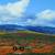 Vacant Land 2.43 Acres Rent RV Space or Purchase 1 thumbnail