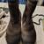 Merrell Polarand Rove Zip Waterproof Boot. 4 thumbnail
