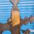 antique wood hall tree stand coat hat umbrella stand rack victorian 8 thumbnail