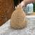 Holland lops 7 thumbnail