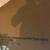 1 Tall Dog Gate 2 thumbnail