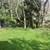Beautiful spacious suite in South Oak Bay - Temporary 20 thumbnail