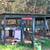 Barn Cats for Rodent Control - Neutered/vaccinated/delivered FREE! 22 thumbnail