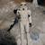 12 inch Vintage Stormtrooper 1 thumbnail
