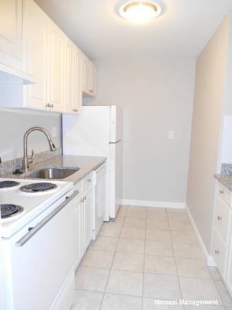 $3,195 / 2br - *NO FEE* Open layout, new kit/bath, PARKING included!! *NOV 1* (Brookline/Washington Sq/Coolidge Corner)63828337698435122