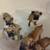Boxer puppies 6 thumbnail