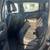 2016 Chevrolet Colorado LT 4x4 4dr Crew Cab 5 ft. SB 17 thumbnail